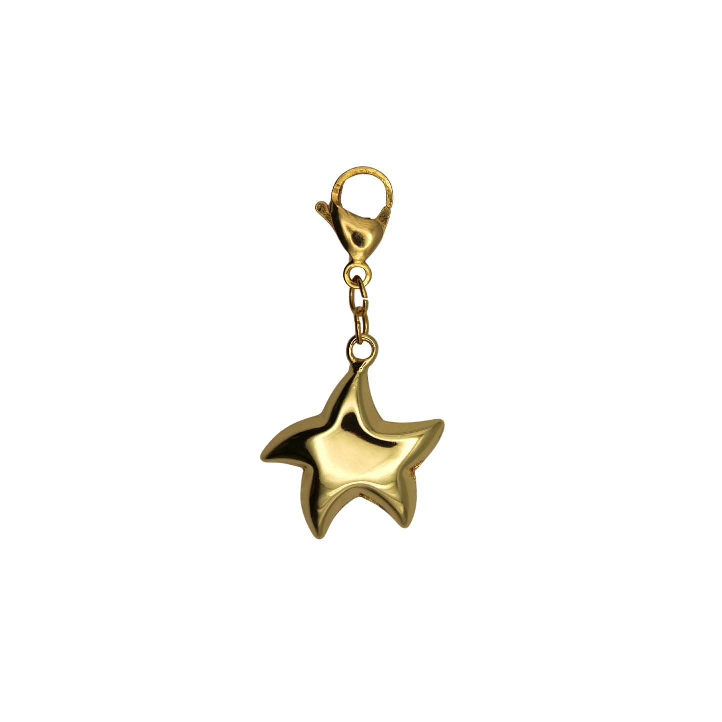 Estrella de mar charm