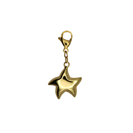 Estrella de mar charm